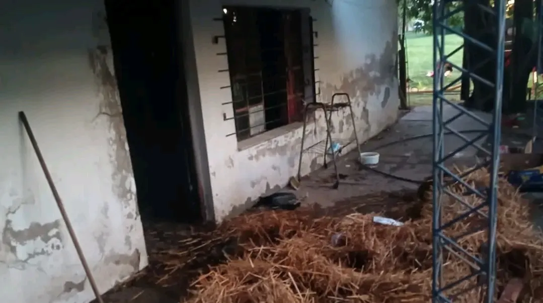 WhatsApp Image 2025-01-29 at 21.26.44