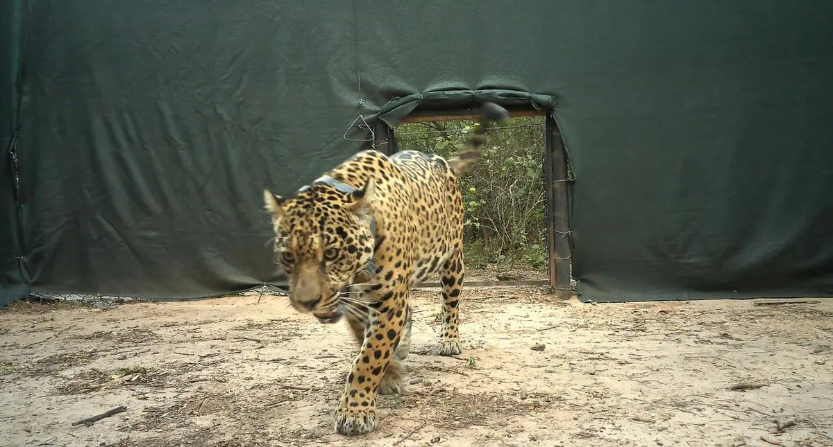 e5731ae0-0abe-479f-b3fb-b3aee4f984a7