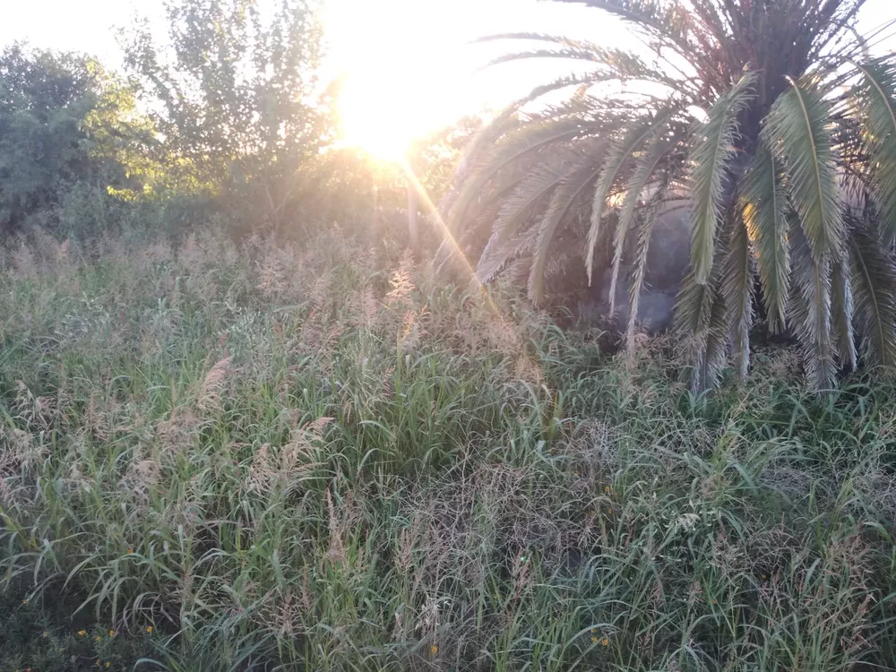 IMG-20211216-WA0003