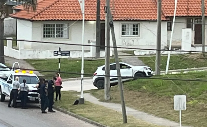 WhatsApp Image 2024-03-28 at 19.32.56