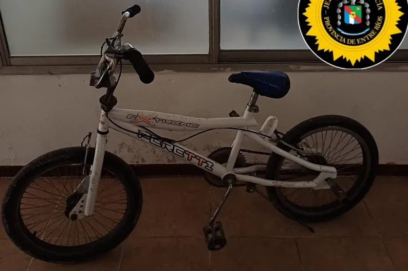 WhatsApp Image 2025-11-15 at 18.20.04