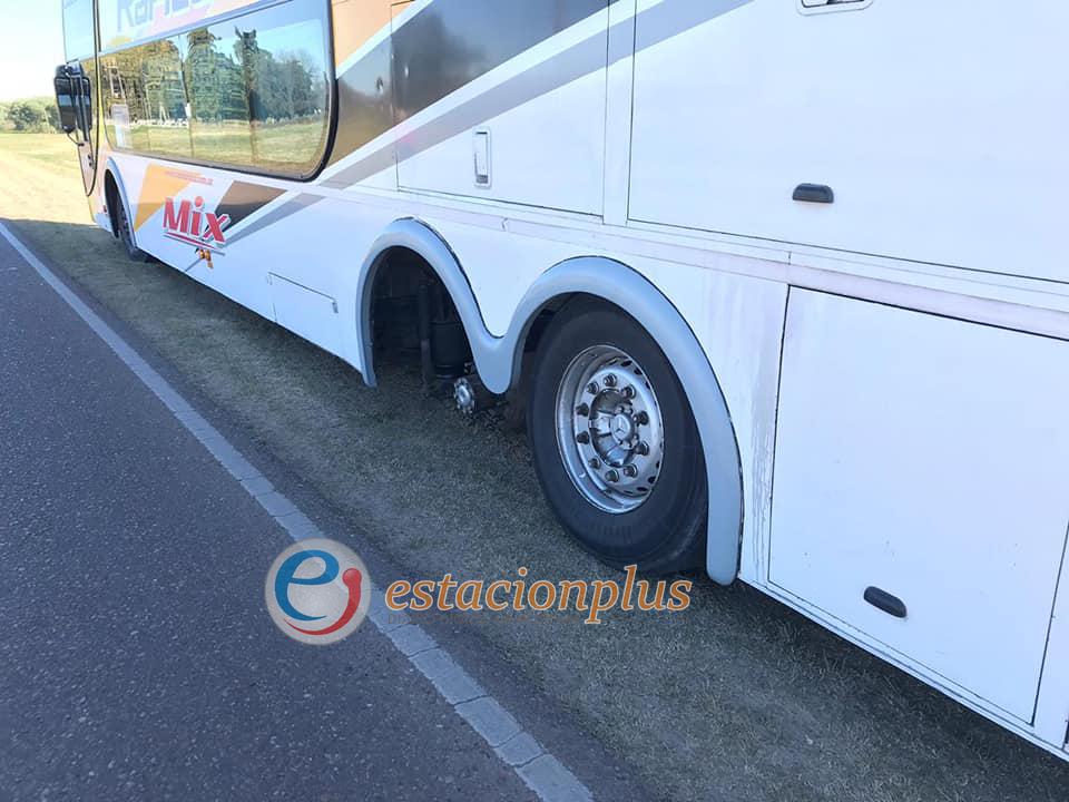colectivo2