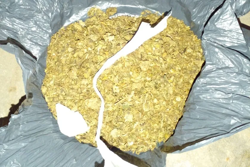 WhatsApp Image 2024-05-17 at 18.14.40