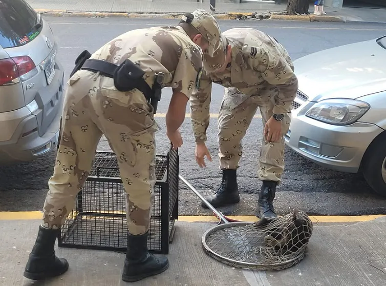 WhatsApp Image 2024-12-09 at 10.58.24