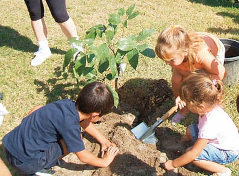 Proponen al municipio encarar un plan de forestación en conjunto con las  escuelas