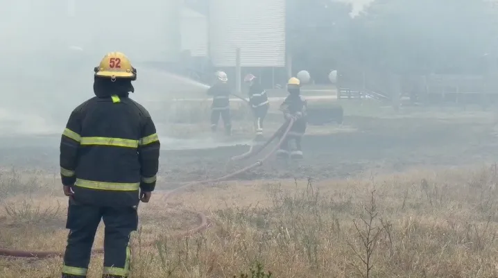 WhatsApp Image 2026-02-11 at 11.00.31 (1)