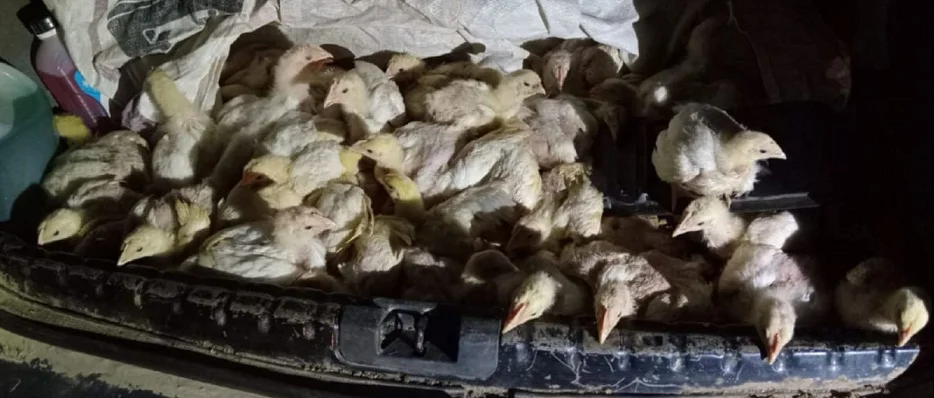 WhatsApp Image 2026-02-22 at 01.36.13