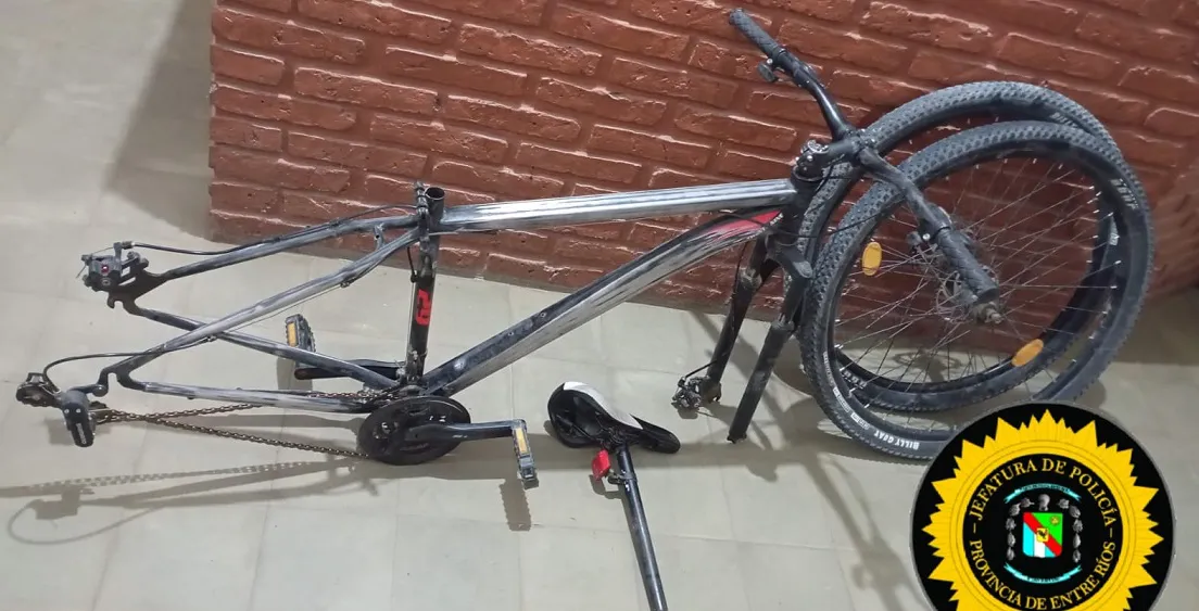 WhatsApp Image 2024-12-20 at 09.49.56