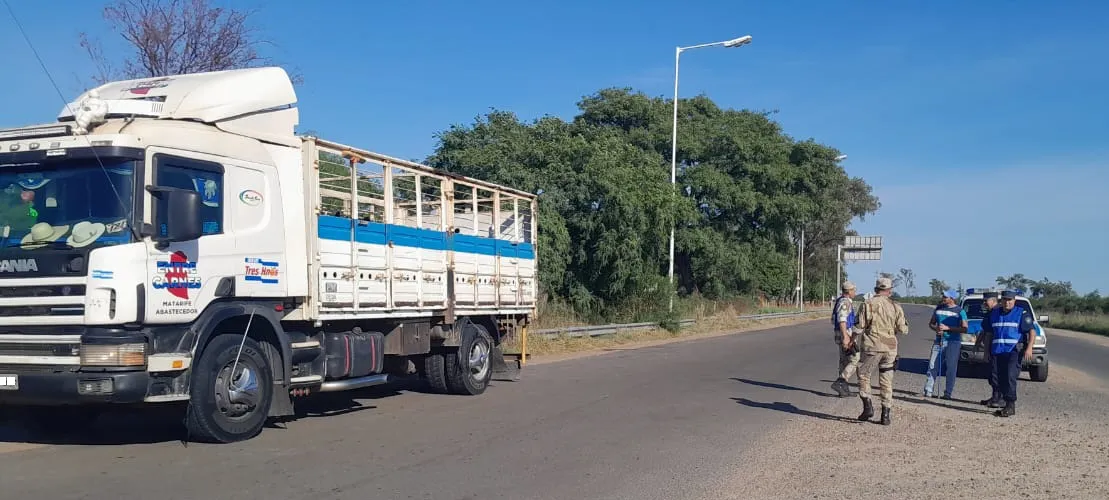 WhatsApp Image 2025-04-04 at 17.37.02