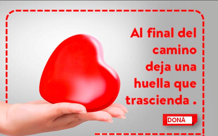 Donación de Órganos