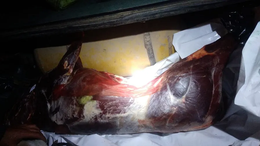 WhatsApp Image 2024-09-08 at 17.43.32