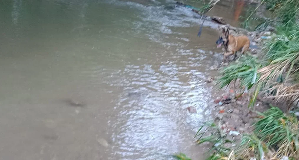 WhatsApp Image 2026-02-22 at 09.08.54