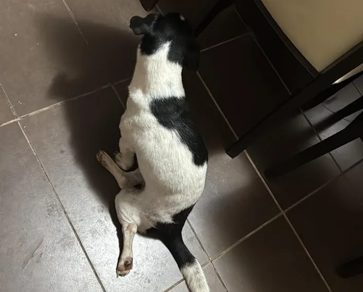 WhatsApp Image 2025-12-24 at 5.06.06 PM