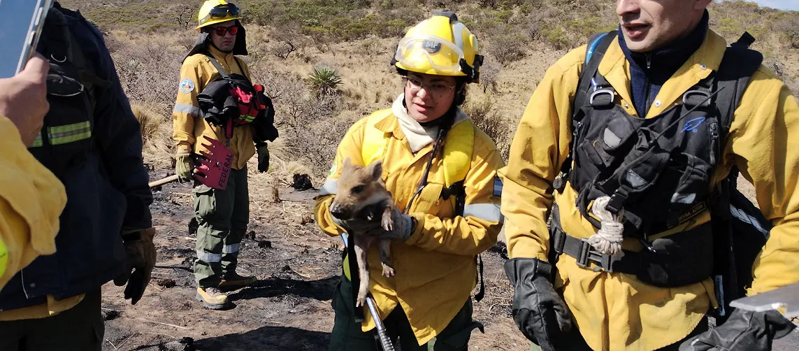 WhatsApp Image 2024-09-28 at 12.09.35