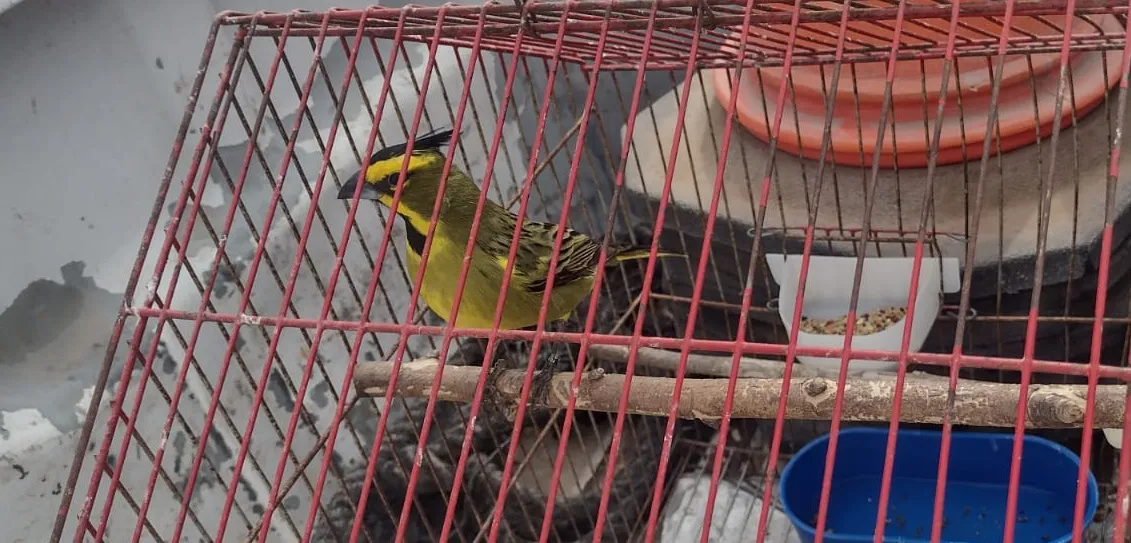 WhatsApp Image 2024-12-12 at 20.47.02 (4)