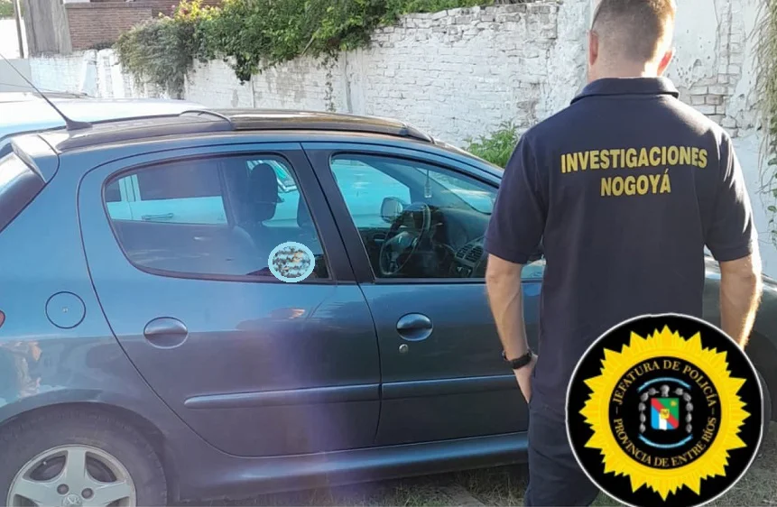 WhatsApp Image 2026-03-23 at 12.06.47