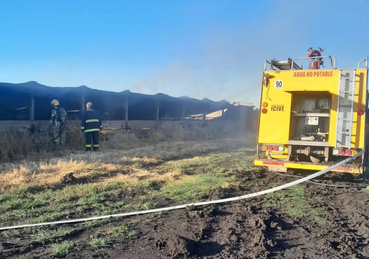 FB_IMG_1771251464433~2