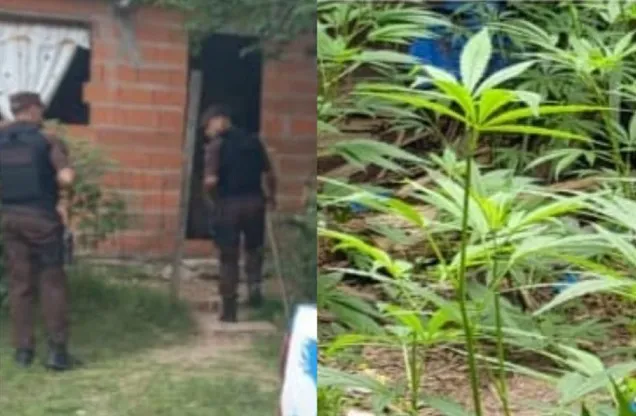 WhatsApp Image 2025-11-12 at 18.18.39