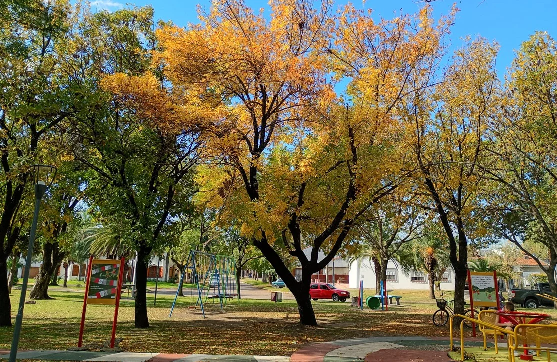 crespo arboleda otoño