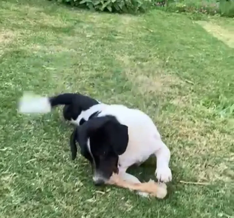 WhatsApp Image 2025-12-24 at 4.31.06 PM