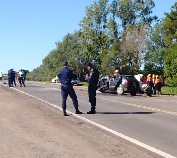 WhatsApp Image 2024-04-07 at 11.42.07