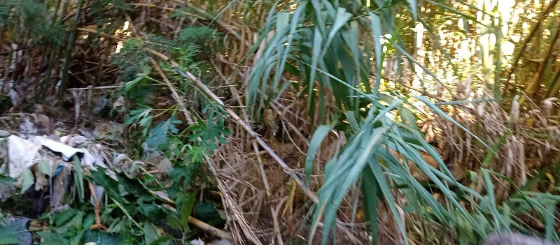 WhatsApp Image 2026-02-22 at 09.08.53