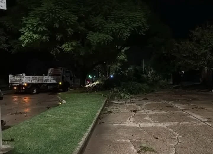 WhatsApp Image 2026-04-04 at 09.33.10 (2)