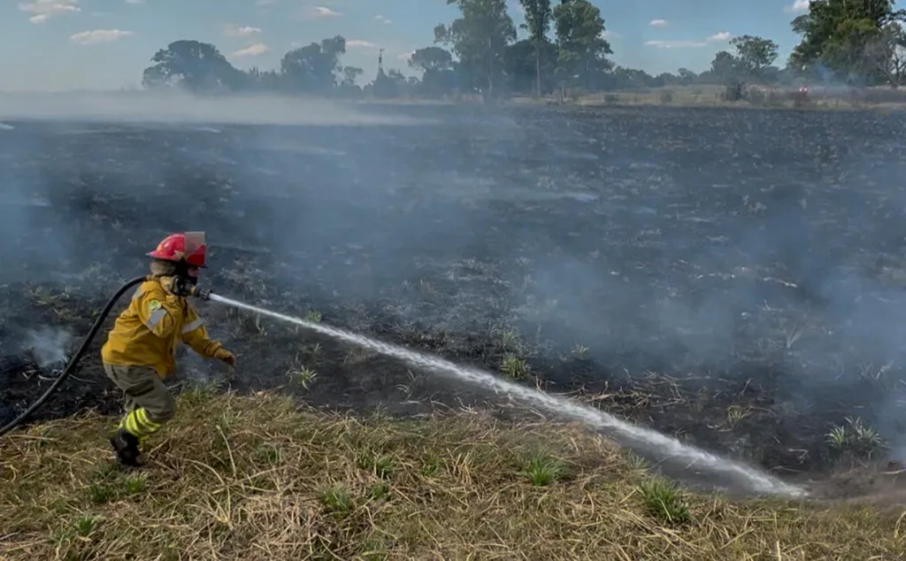 WhatsApp Image 2025-01-07 at 20.59.08 (3)