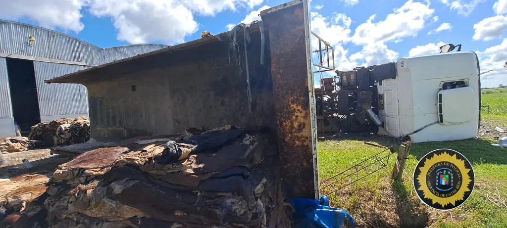 WhatsApp Image 2024-09-27 at 20.22.15 (2)