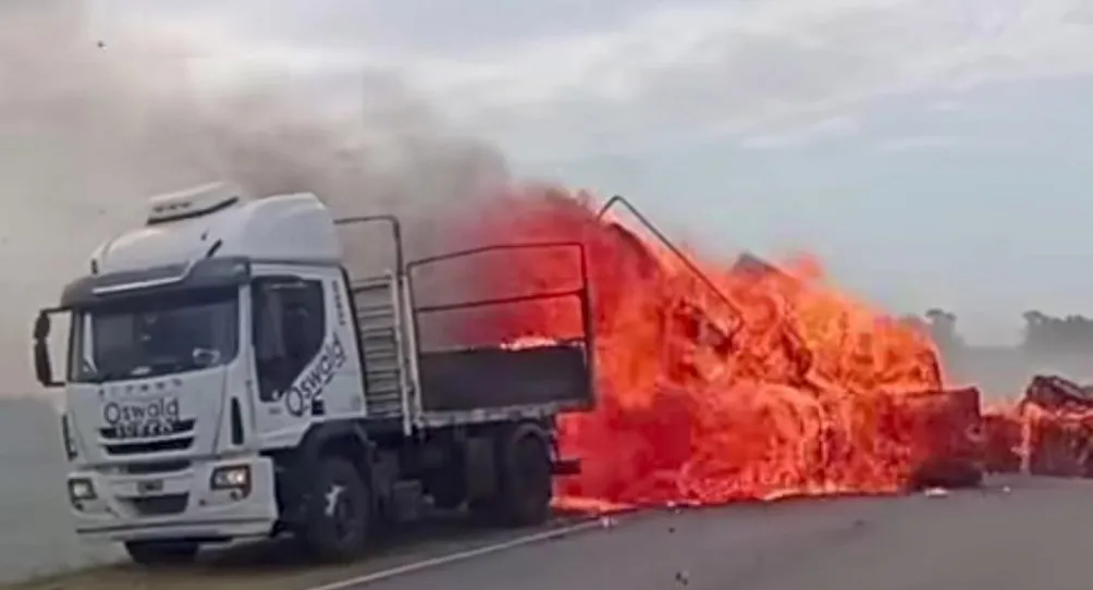 571117057_1402988118499206_5946326994374894475_n