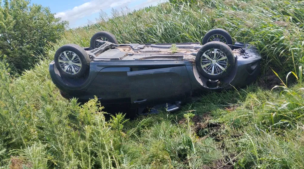 WhatsApp Image 2025-11-21 at 11.57.09