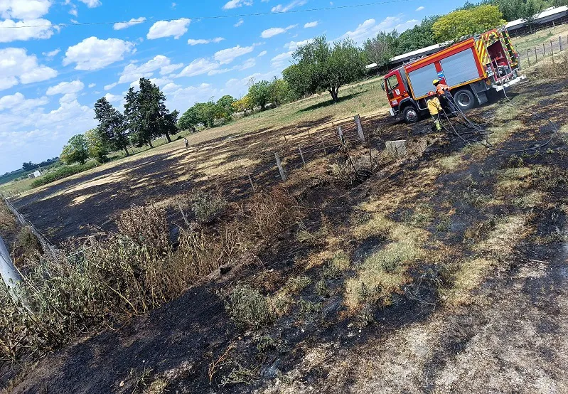 WhatsApp Image 2025-01-17 at 08.51.12