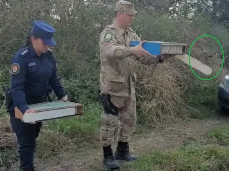 WhatsApp Image 2024-06-11 at 20.12.25