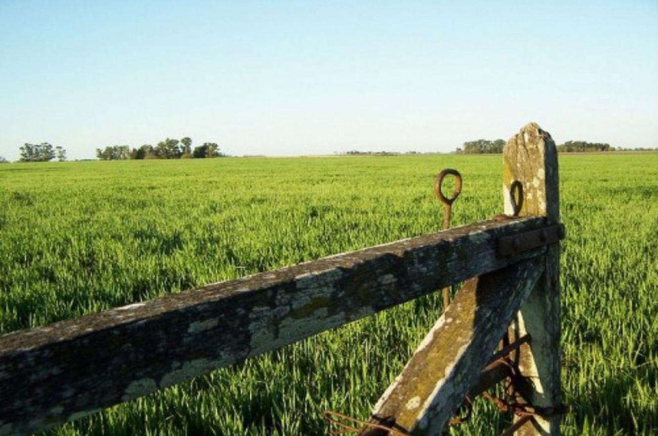 tranquera campo