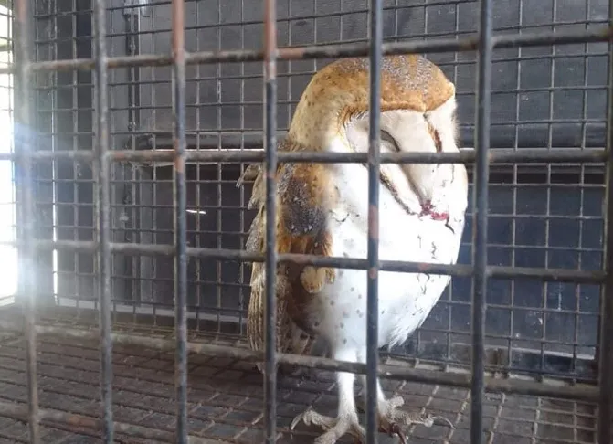 WhatsApp Image 2024-09-12 at 17.38.10