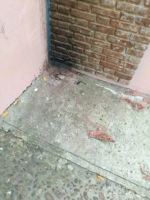 WhatsApp Image 2025-04-27 at 17.30.13 (1)