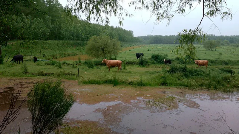 inundacion