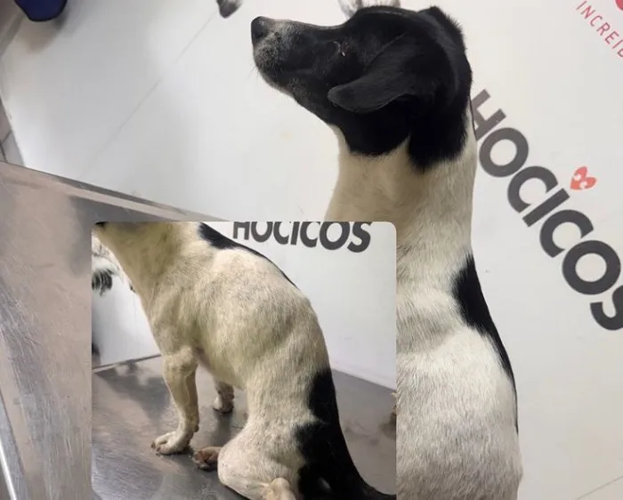 WhatsApp Image 2025-12-23 at 21.40.54