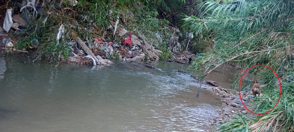 WhatsApp Image 2026-02-22 at 09.08.53(1)