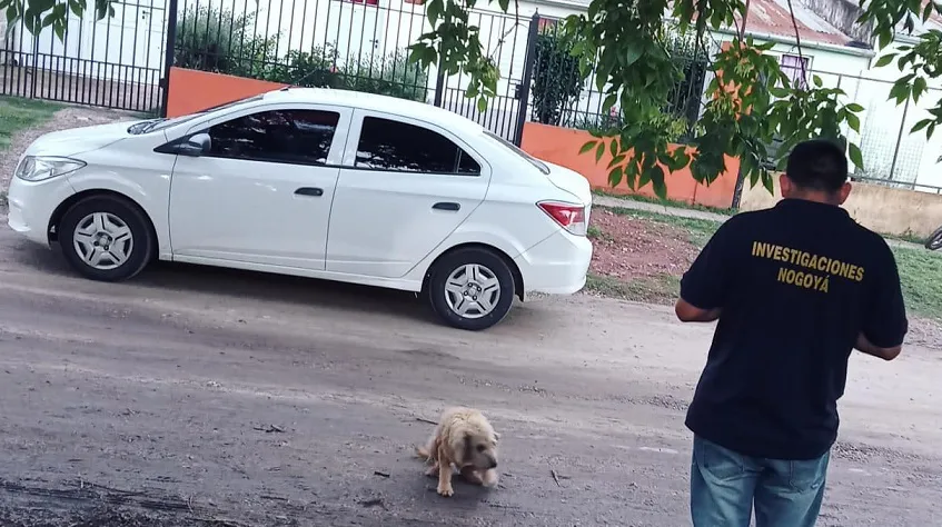 WhatsApp Image 2024-11-28 at 09.55.50