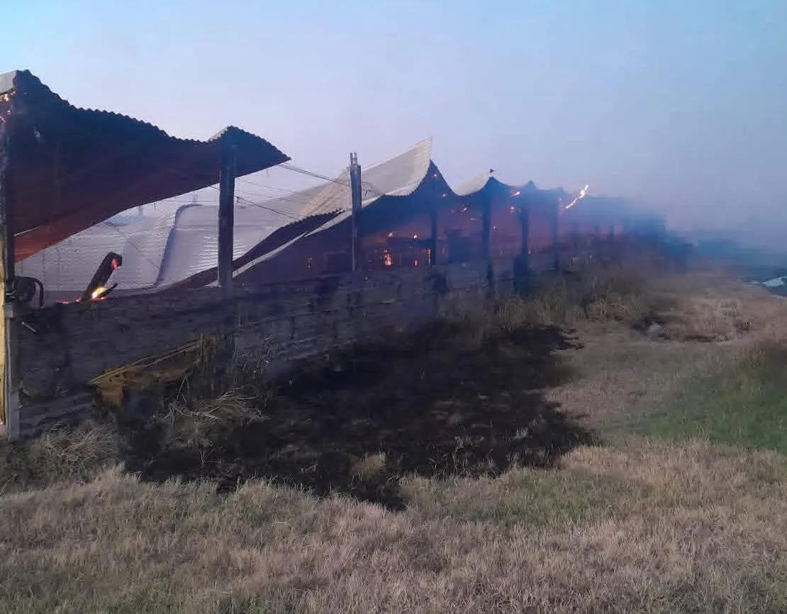 FB_IMG_1771251452694~2