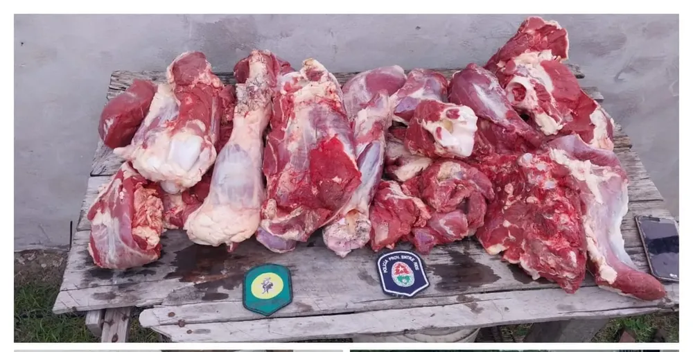 carne1