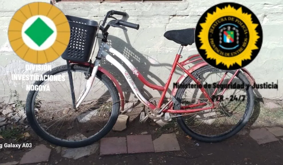 WhatsApp Image 2024-08-23 at 20.42.17