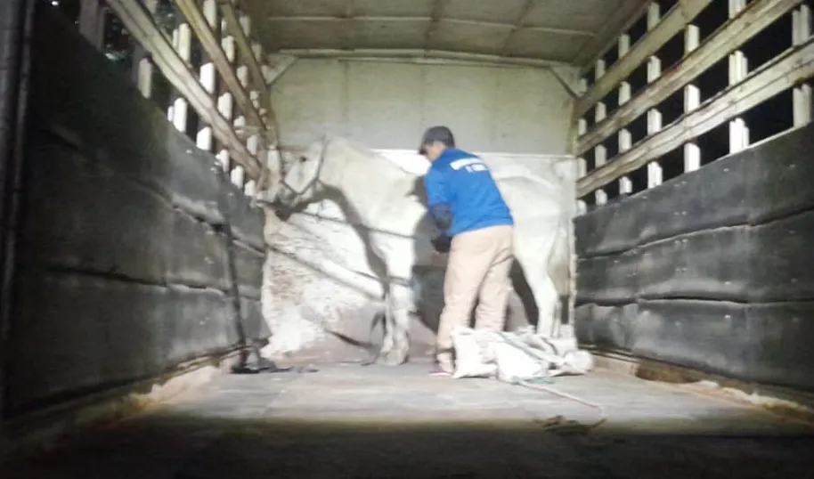 WhatsApp Image 2025-06-03 at 22.32.22