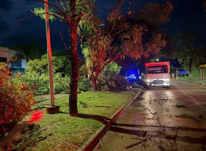 WhatsApp Image 2026-04-04 at 09.33.10