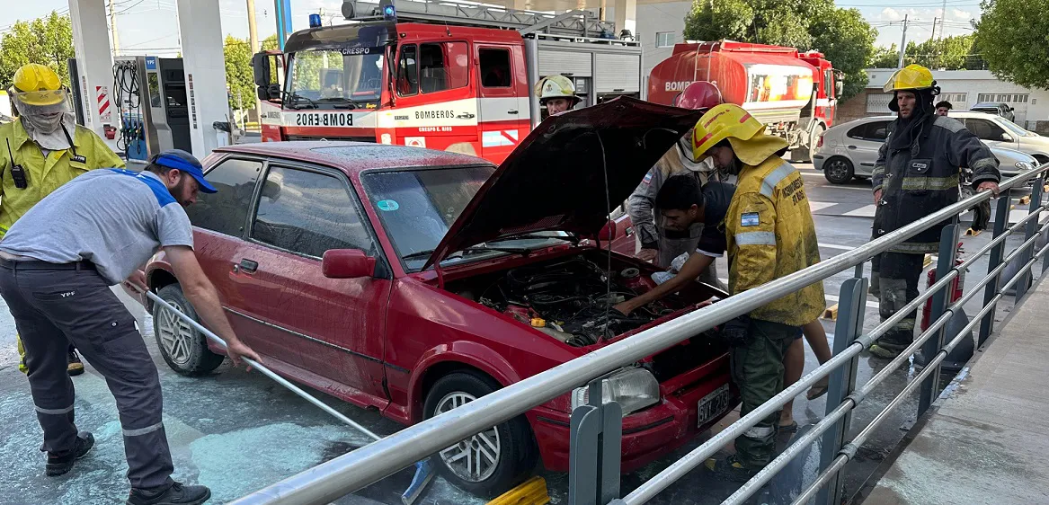 WhatsApp Image 2025-02-11 at 10.44.39