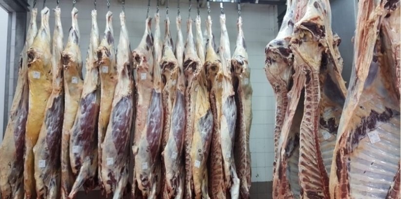 carne frigorífico Oro Verde