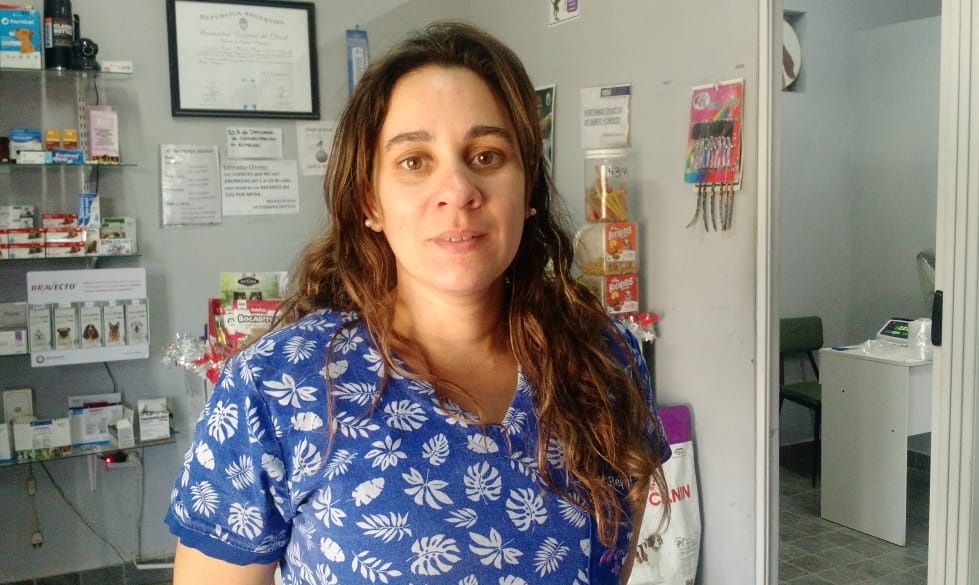 Veterinaria - Hocicos